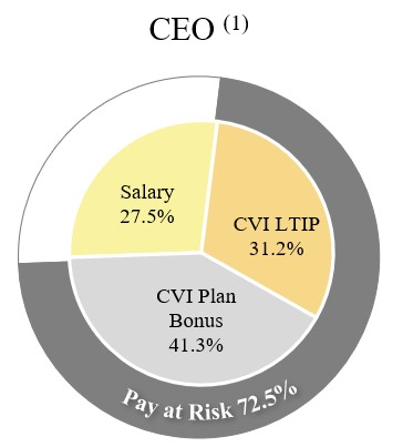 2022 Target Compensation Mix for CEO.jpg